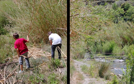 Kids playing with cane by the river